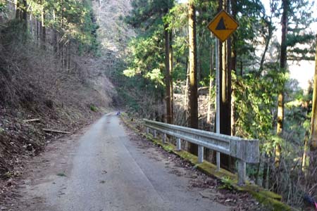 花じょろ道から高松山・歩道道路を田代に向かい下って行きます