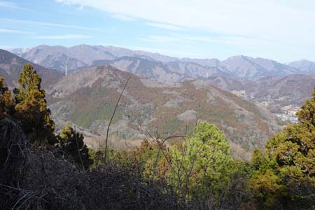 花じょろ道から高松山・展望が開けた先に丹沢の山々