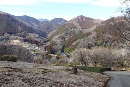 花じょろ道から高松山・春を待ちわびる田代の集落