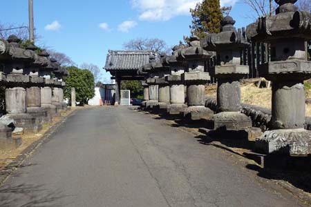 所沢市・不動寺の桜井門に続く石灯篭