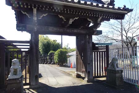 所沢市・不動寺の桜井門