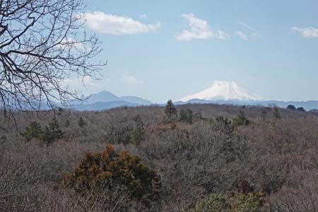 狭山丘陵・山頂からは富士山