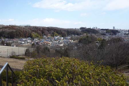 狭山丘陵・住宅地の先はトトロの森