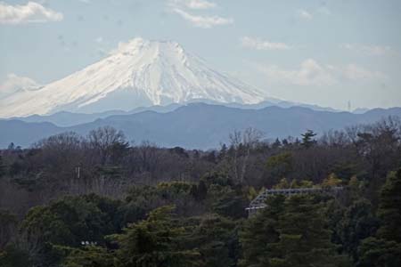 所沢市・荒幡富士山頂から富士山