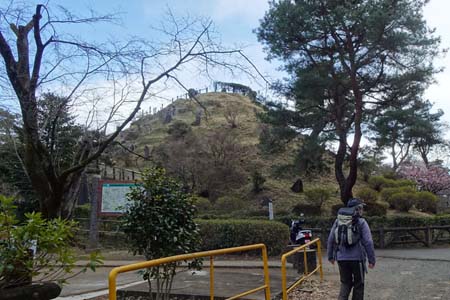 所沢市・見上げる荒幡富士