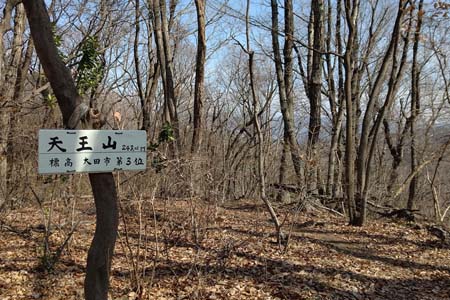 八王子丘陵・山頂に三角点
