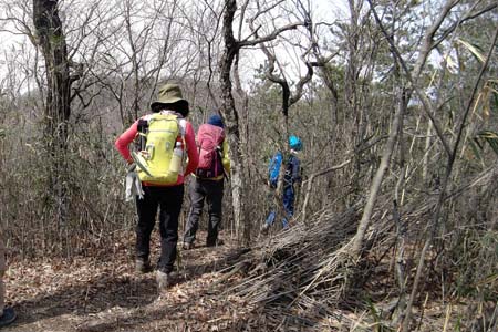 八王子丘陵・地図に高尾山と表示されているピーク