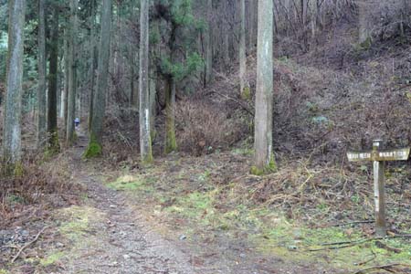 裏高尾から木下沢・杉林の中の山道が始まります