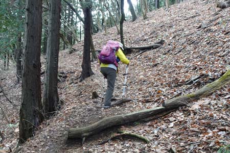裏高尾から木下沢・枯葉が積もる山道を登り