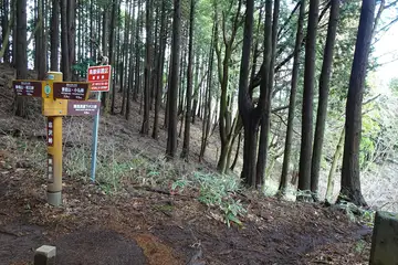 底沢峠