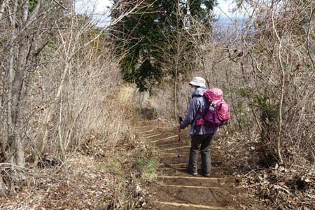 裏高尾から木下沢・小仏バス停への道を下り