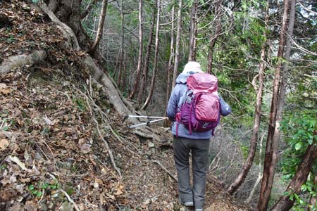 裏高尾から木下沢・小さな岩場もあります