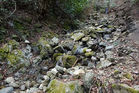 裏高尾から木下沢・細い流れに沿って沢を下り