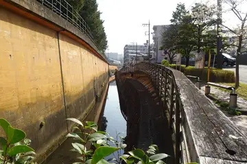 せせらぎ緑道