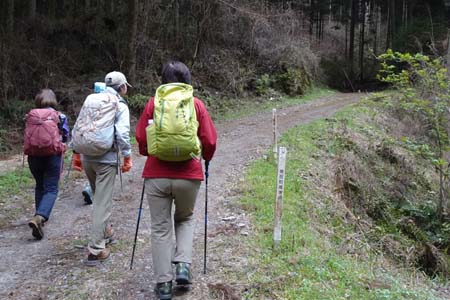 釜伏山・林道を登って行きます