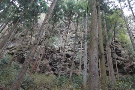 釜伏山・岩壁の下を登る登山道