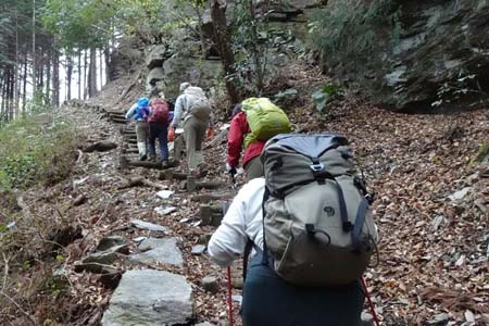 釜伏山・落ち葉を踏みながら階段の道を登り