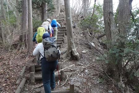釜伏山・木の階段の道が続きます