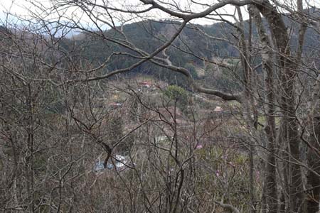 釜伏山・木立の先に風布の山里