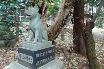 釜山神社の狼の狛犬