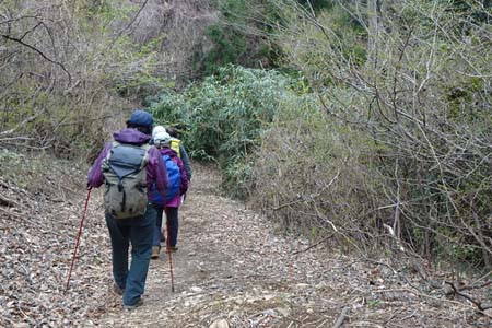 釜伏山・ジグザグに山道を下って