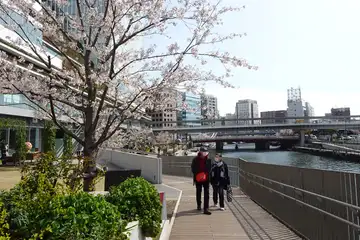 大岡川夢プロムナード