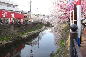 観音橋