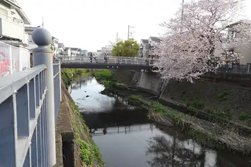 花見橋