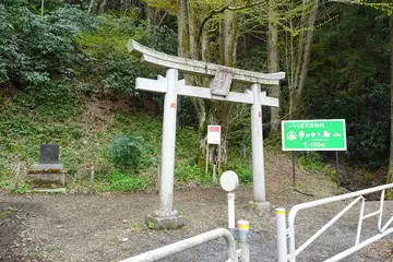 稲荷神社の鳥居はクマガイソウ群生地