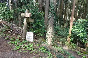 西山峠