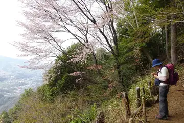 湖のみちの展望台