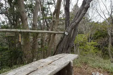 金比羅山のベンチ