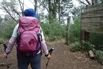 大洞山の山頂