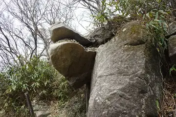ガマ岩