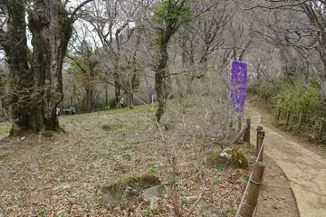 カタクリ園にもたくさんのカタクリ