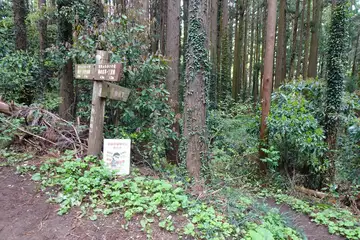 西山峠