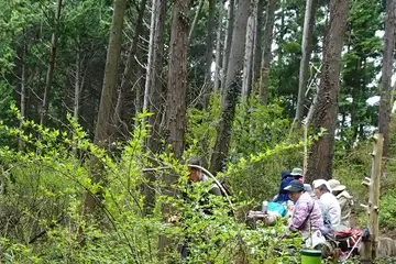 フクロウのベンチ