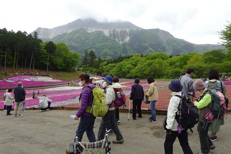 羊山公園から琴平丘陵・羊山公園の芝桜