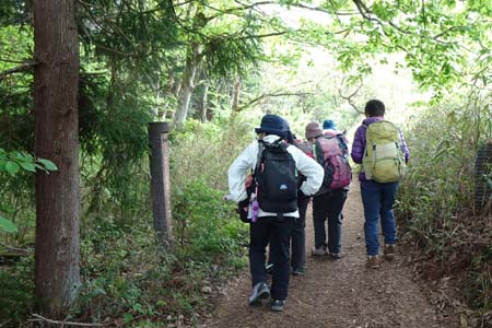 羊山公園から琴平丘陵・琴平丘陵ハイキングコース