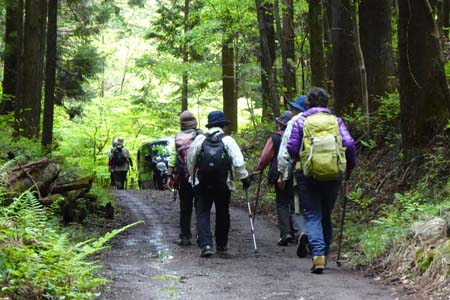 羊山公園から琴平丘陵・沢沿いにはミツバチの巣箱もあります