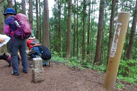 羊山公園から琴平丘陵・琴平丘陵のピークには三角点がある