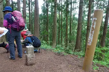 琴平丘陵のピークには三角点がある