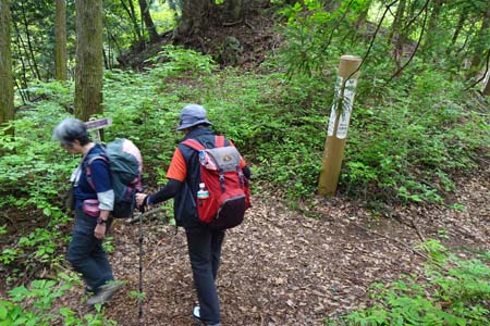 羊山公園から琴平丘陵・雑木林の道を下り