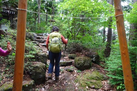 羊山公園から琴平丘陵・大山祇神社の鳥居
