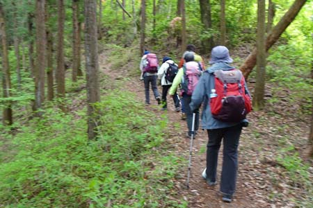 羊山公園から琴平丘陵・緩やかに新緑の山道を登ります
