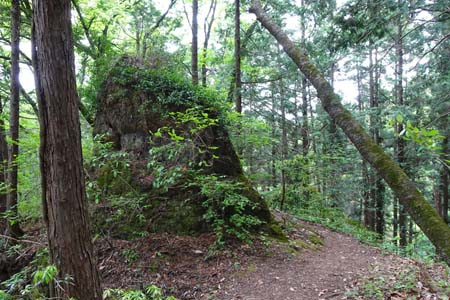 羊山公園から琴平丘陵・