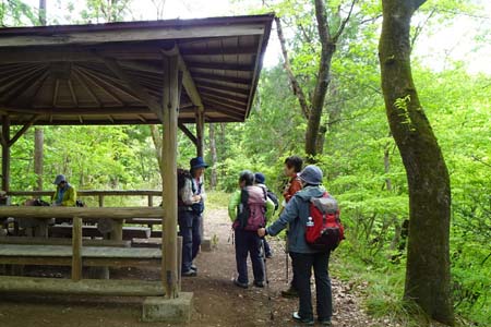 羊山公園から琴平丘陵・長者屋敷跡はかつての山城