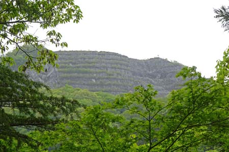 羊山公園から琴平丘陵・梢の先に武甲山