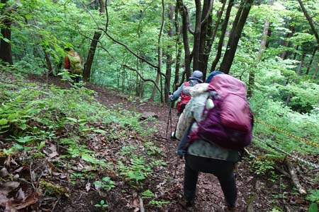 羊山公園から琴平丘陵・固定ロープの坂道を下り