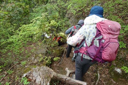 羊山公園から琴平丘陵・急な斜面を下ると